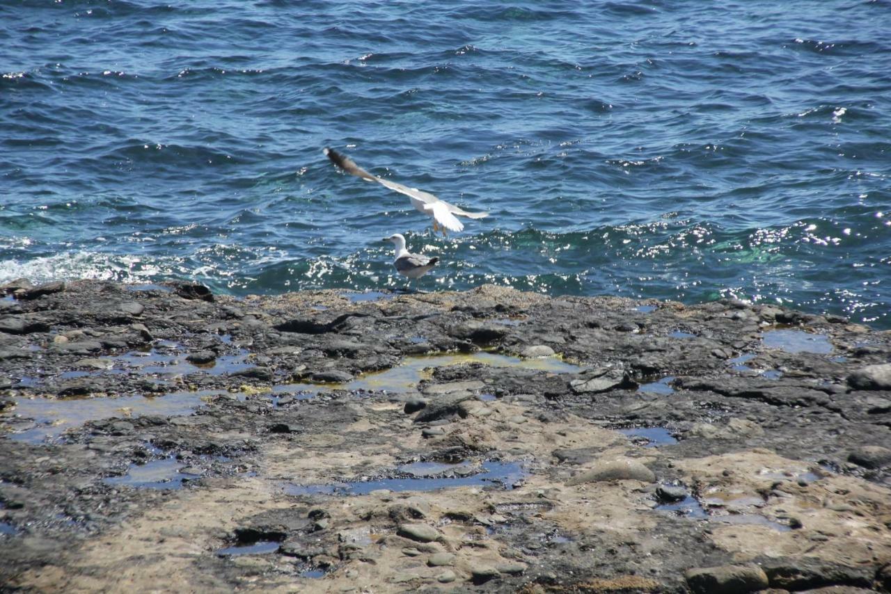 Seagull Estudios Pozo Izquierdo Exteriör bild